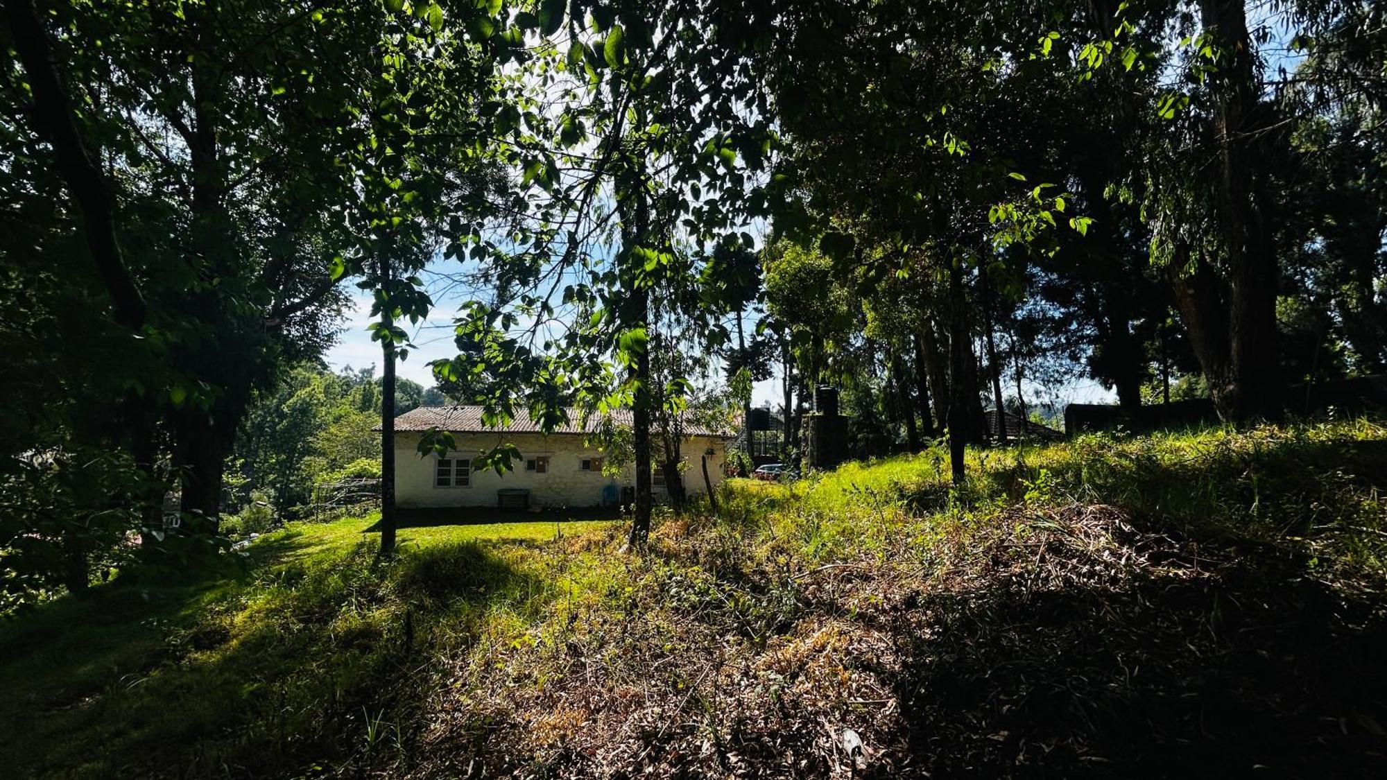 De Huts Kodaikanal Eksteriør billede